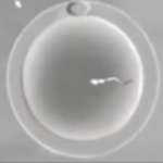 Thumbnail of post image 141