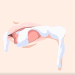 Thumbnail of post image 128