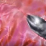 Thumbnail of post image 119