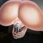 Thumbnail of post image 172