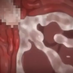 Thumbnail of post image 039