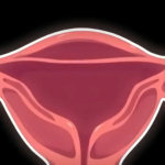 Thumbnail of post image 189