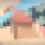 Thumbnail of post image 037