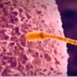 Thumbnail of post image 158