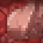 Thumbnail of post image 039