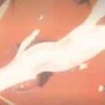 Thumbnail of post image 083