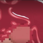 Thumbnail of post image 171