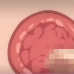 Thumbnail of post image 041