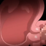 Thumbnail of post image 039