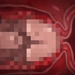 Thumbnail of post image 045