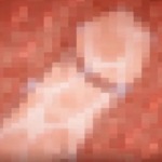 Thumbnail of post image 010