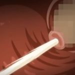 Thumbnail of post image 038