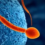 Thumbnail of post image 174