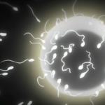 Thumbnail of post image 000