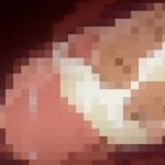 Thumbnail of post image 046