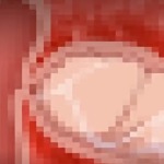 Thumbnail of post image 057