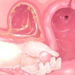 Thumbnail of post image 117