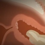 Thumbnail of post image 088