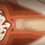 Thumbnail of post image 110