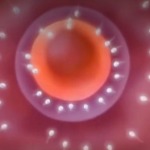 Thumbnail of post image 187