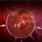 Thumbnail of post image 114