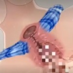 Thumbnail of post image 044