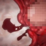Thumbnail of post image 011