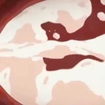 Thumbnail of post image 024