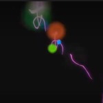 Thumbnail of post image 155