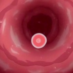 Thumbnail of post image 033