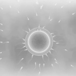 Thumbnail of post image 050