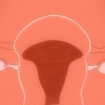 Thumbnail of post image 053