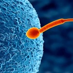 Thumbnail of post image 137