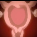 Thumbnail of post image 087